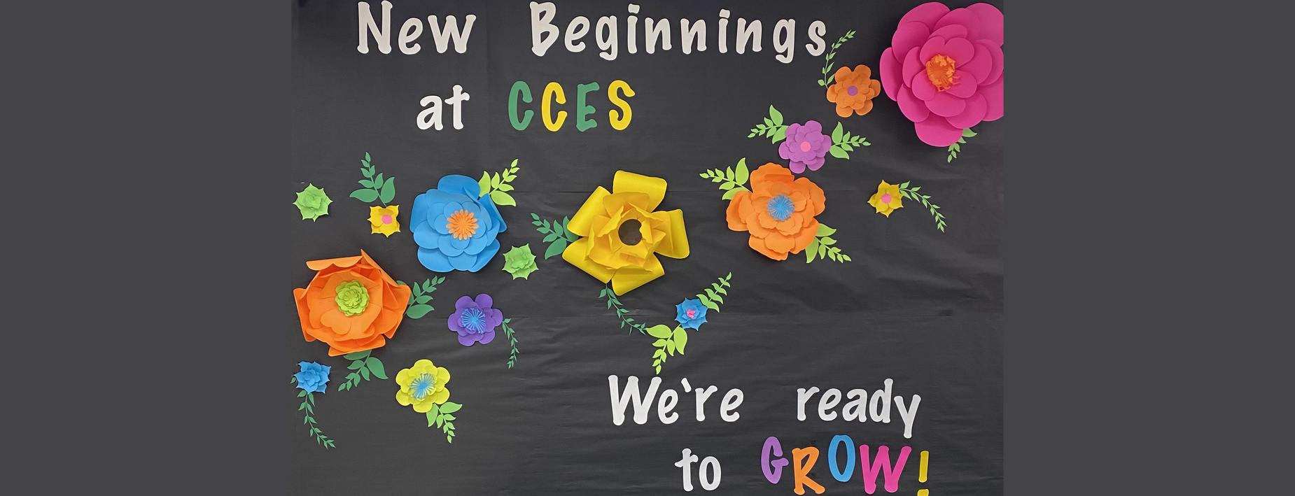 New Beginnings - Ready to Grow