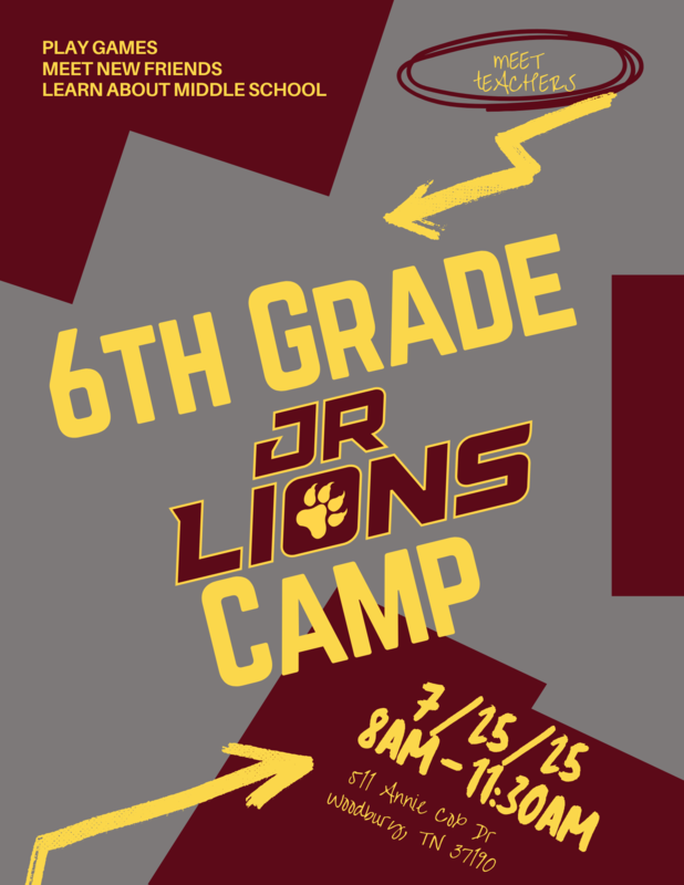 Lions Camp
