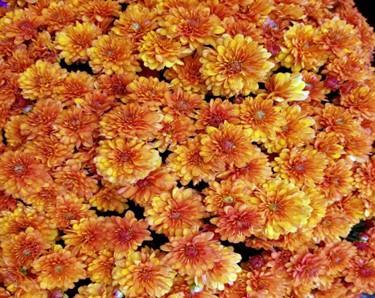 MUM FUNDRAISER KICK OFF - TUES., SEPT. 2