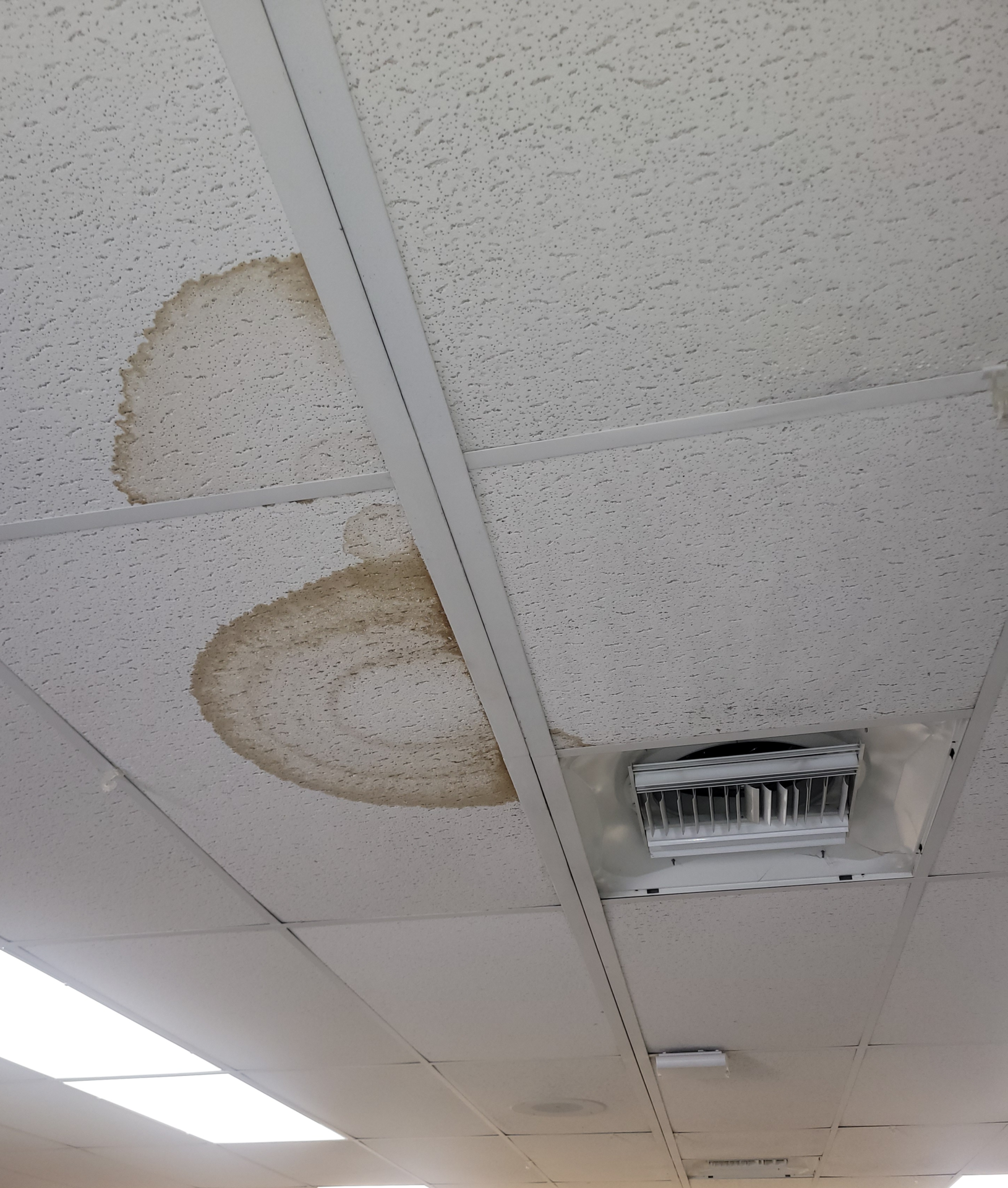 Water damaged ceiling tiles