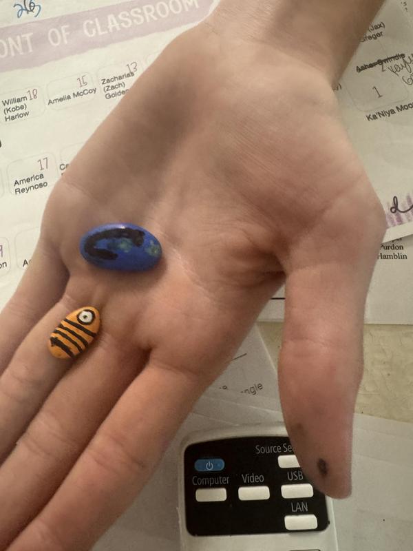 Tiny rocks painted