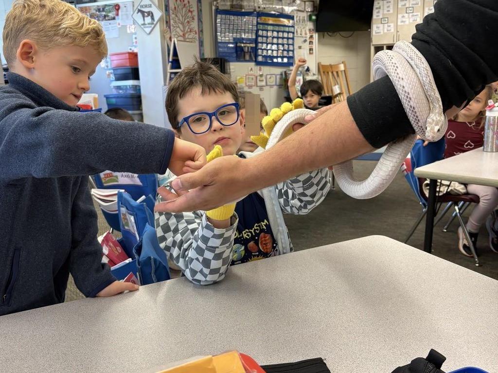 Students looking at a white snake on someone's arm in a classroom.