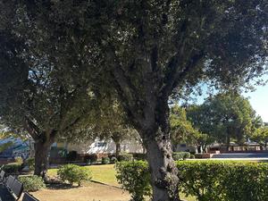 IMG_6671.jpg