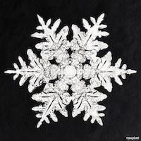 snowflake