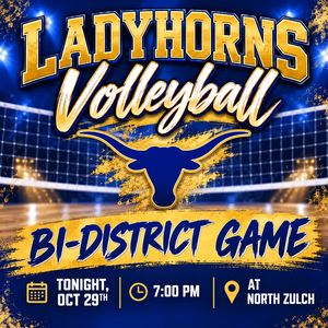 Ladyhorns Volleyball Bi-District Game.png
