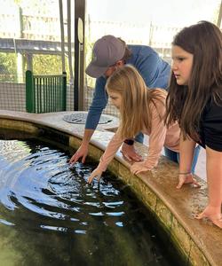 aquarium
