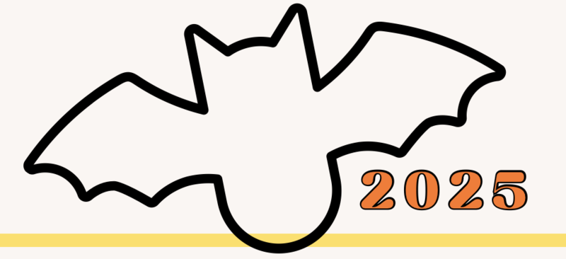 Outline of a bat and 2025