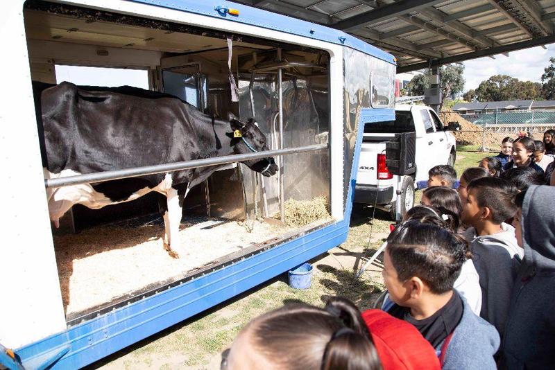 mobile dairy at felton