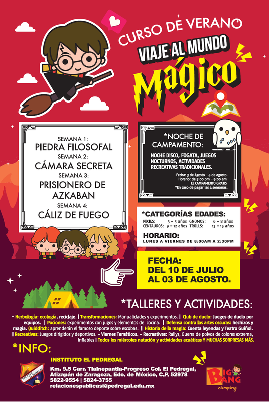 CURSO DE VERANO