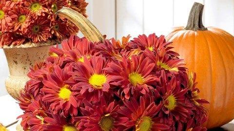 Grandparents Day November 19 and 20 RSVP Here Thumbnail Image