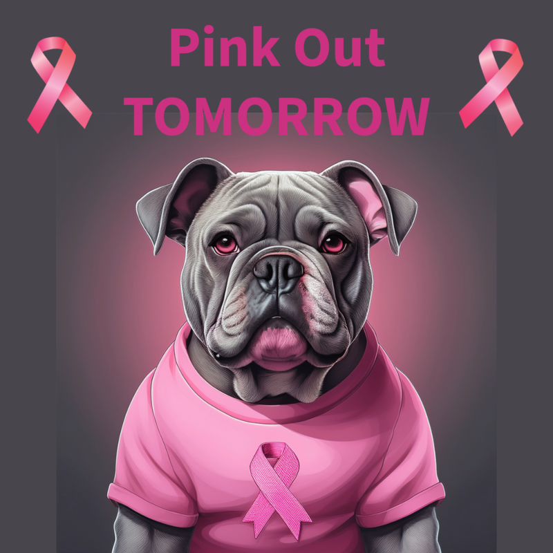 Bulldog Wearing Pink