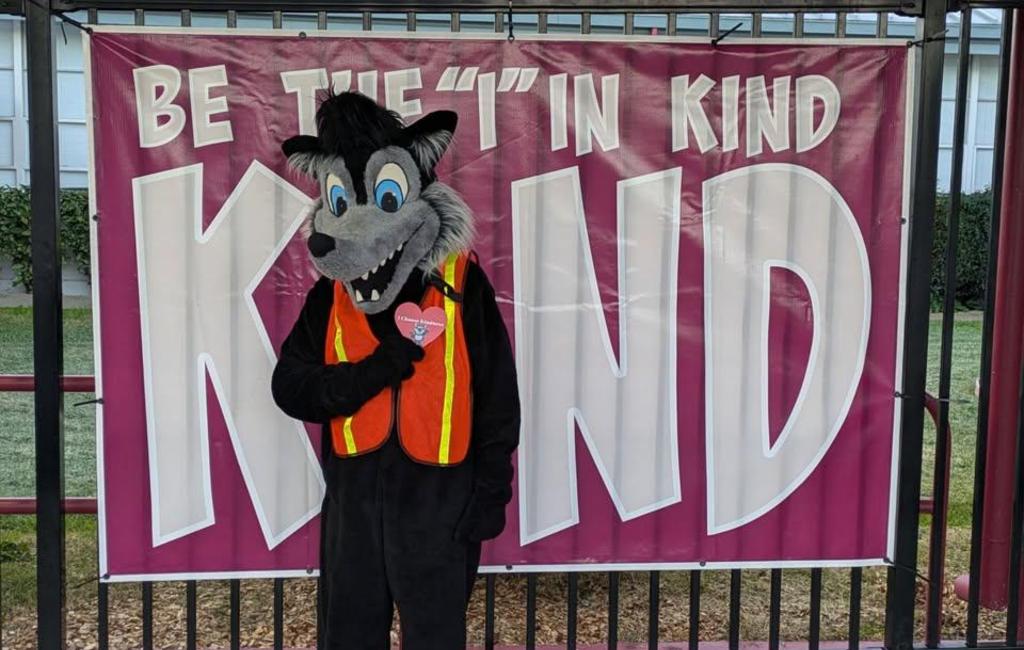 Wolf standing in front of the frame