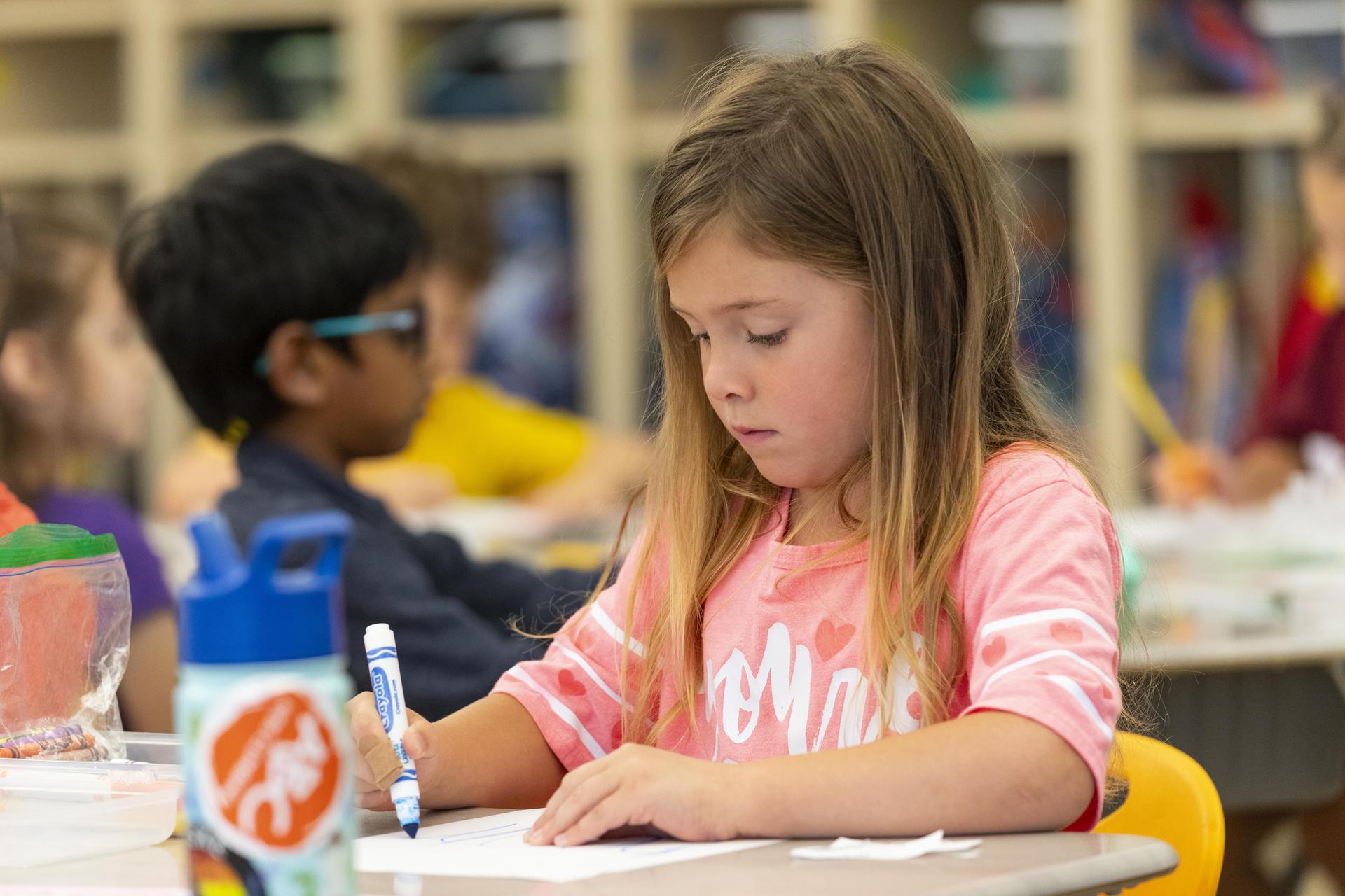 Elementary Student Coloring