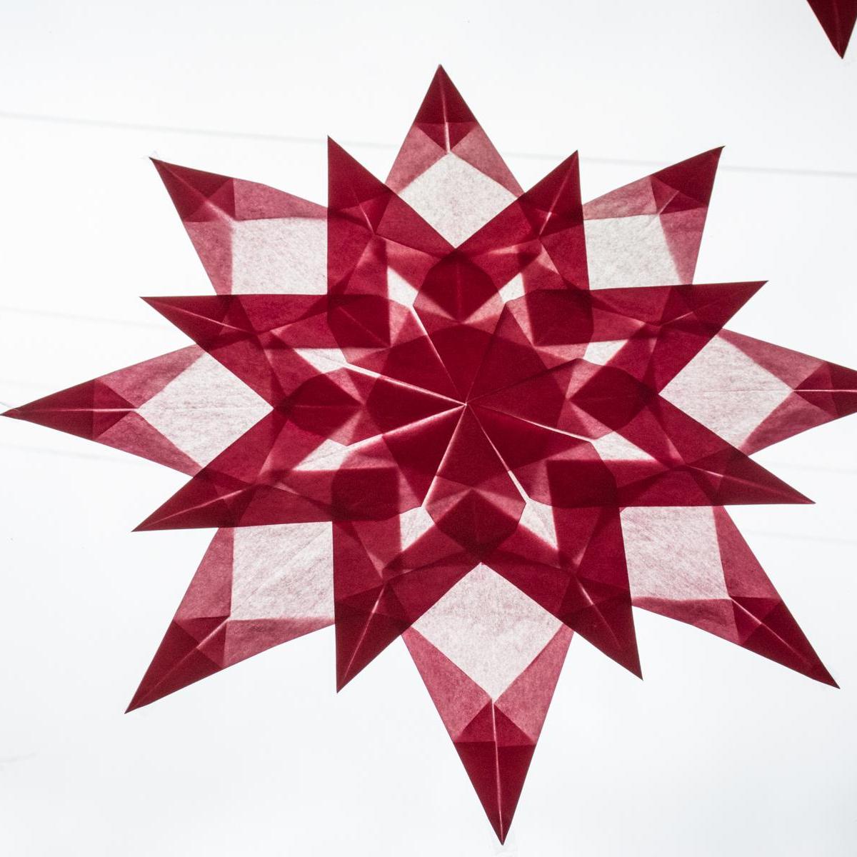 KarlaZayas's Profile Photo