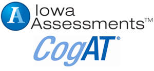 CogAT IOWA test image