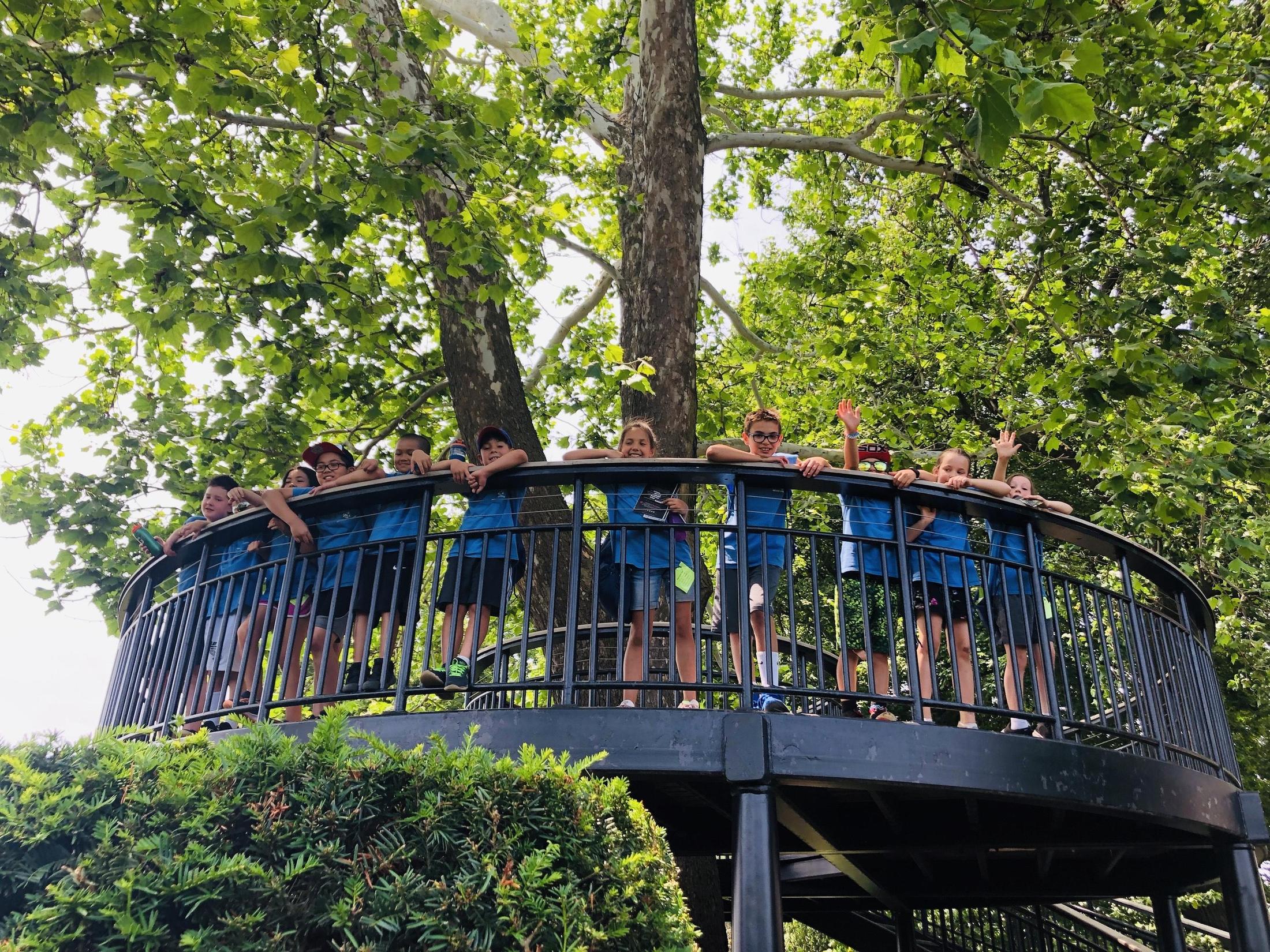 Wildcat Summer Camp Wildcat Summer Camp Northside Catholic Academy