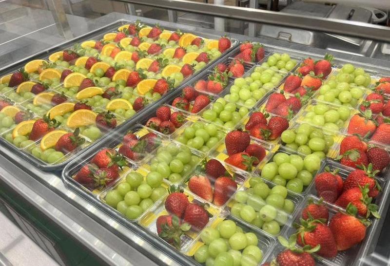 Free and reduced meal applications