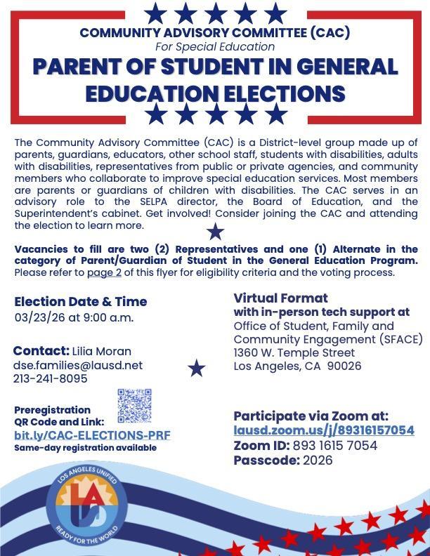 Election Flyer