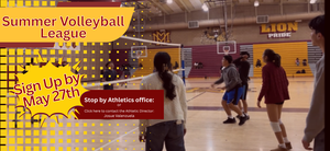 Summer Volleyball League