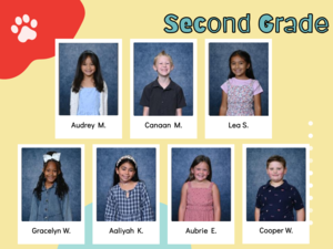 Wildcat names and pictures for kindness and cheerfulness