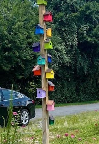 bird house