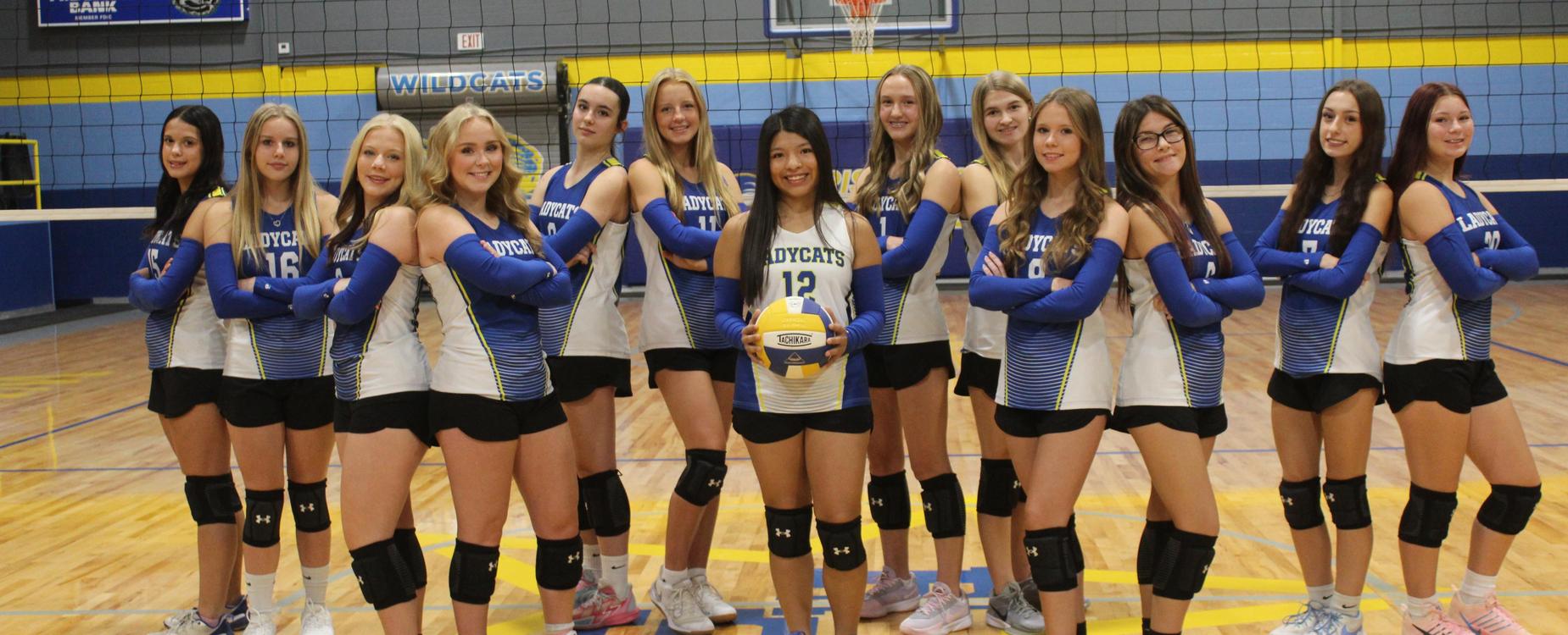 volleyball