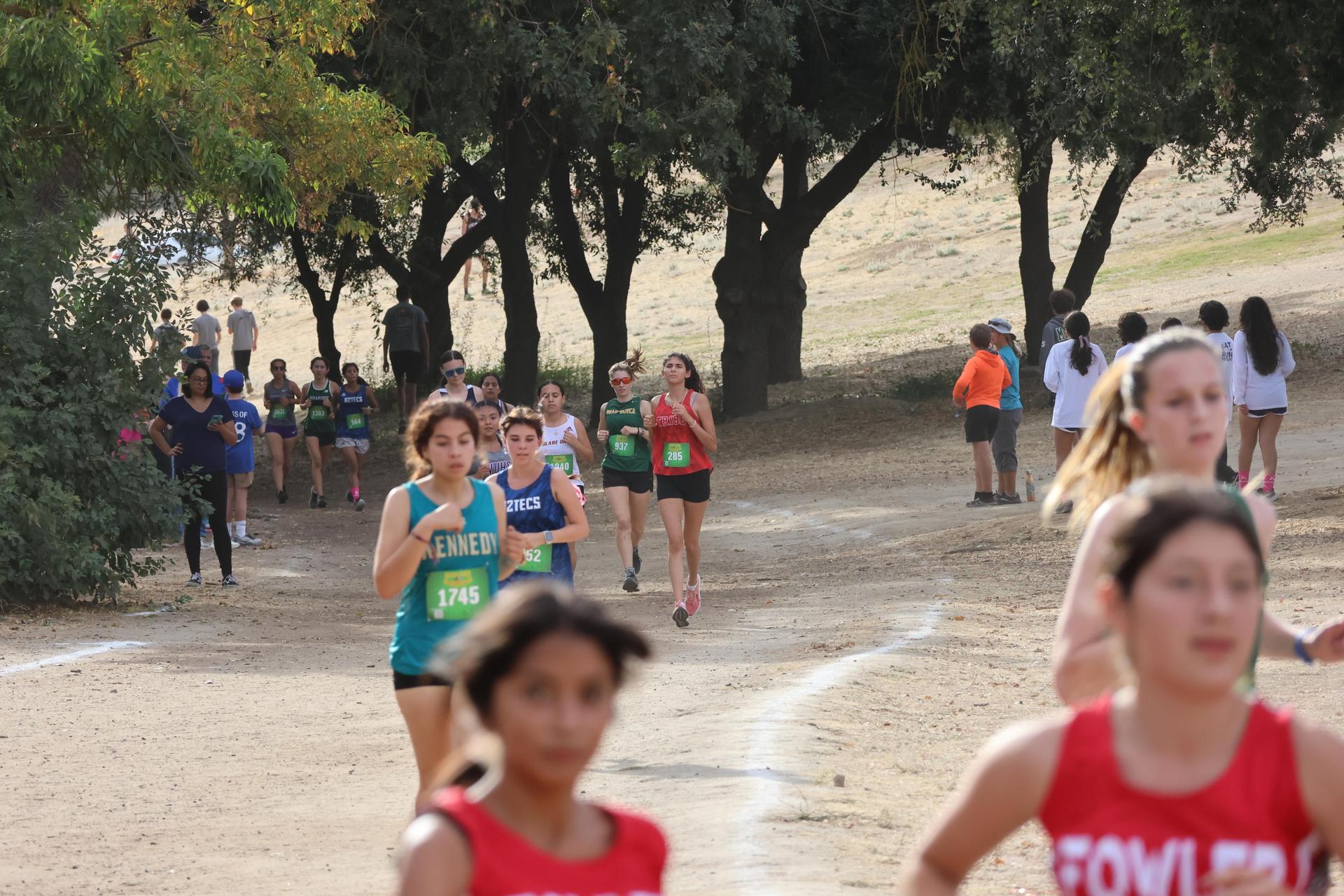 cross country runners in action