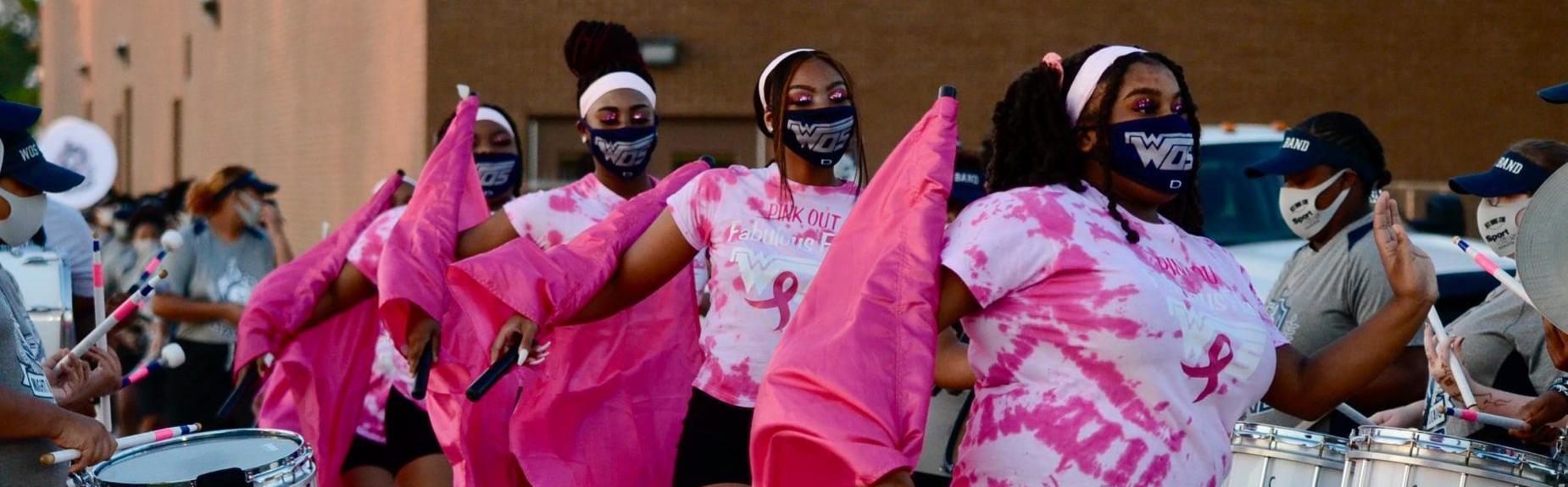 WOS Flags at Pink Out Game