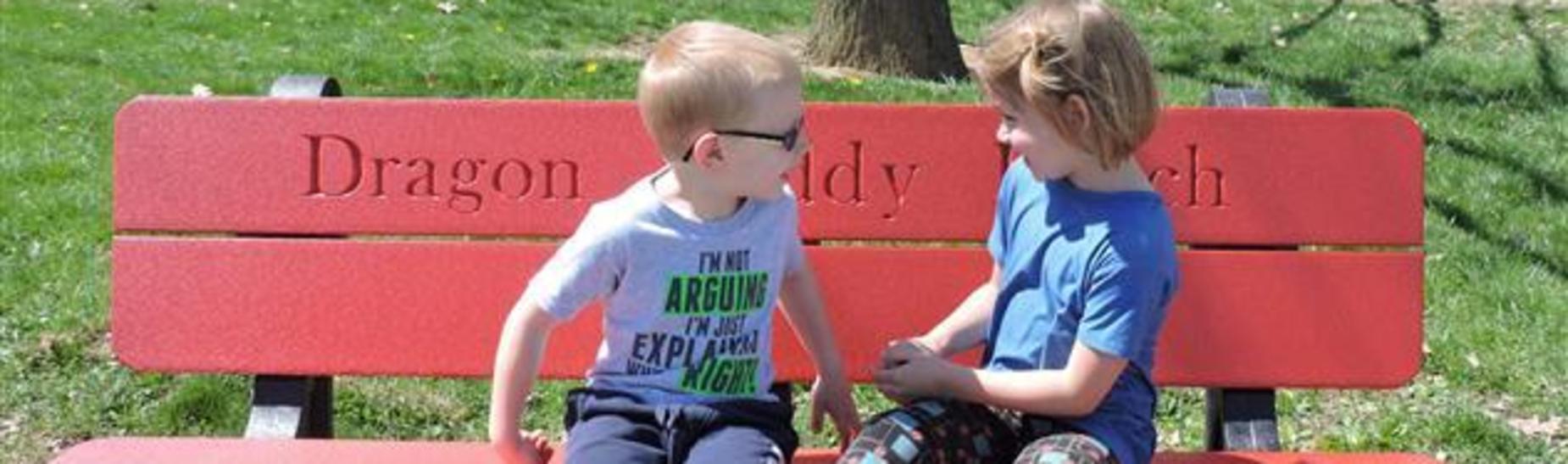 Spring Cove Elementary Buddy Bench