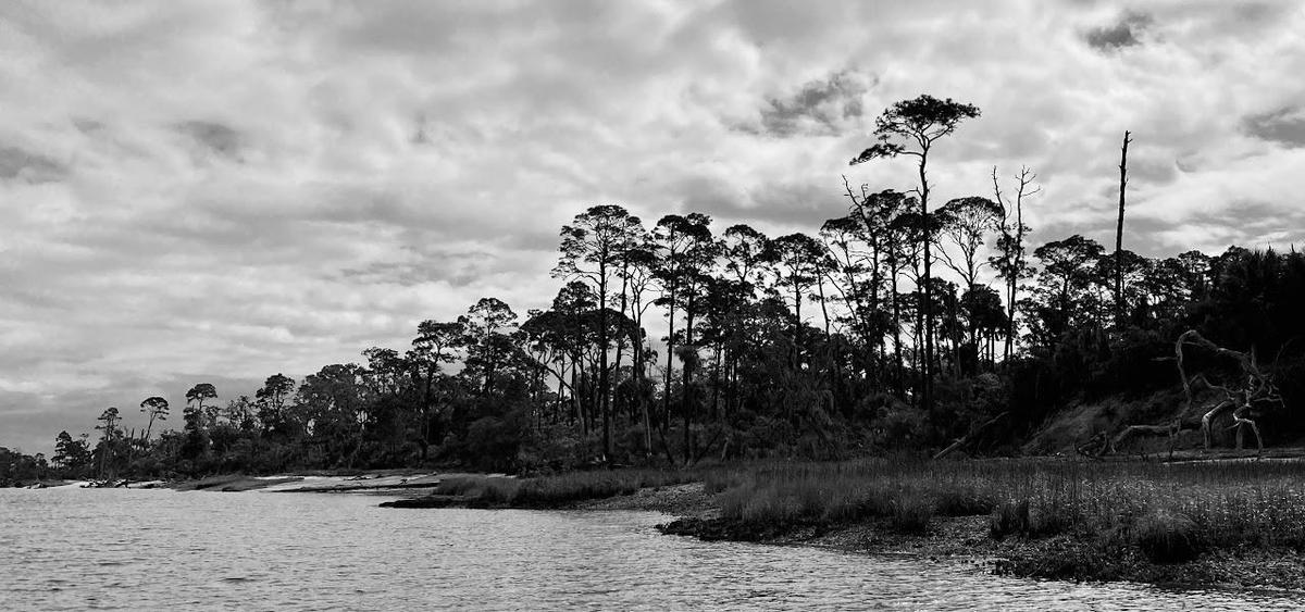 A black and white landscape of trees along a shoreline under a cloudy sky.