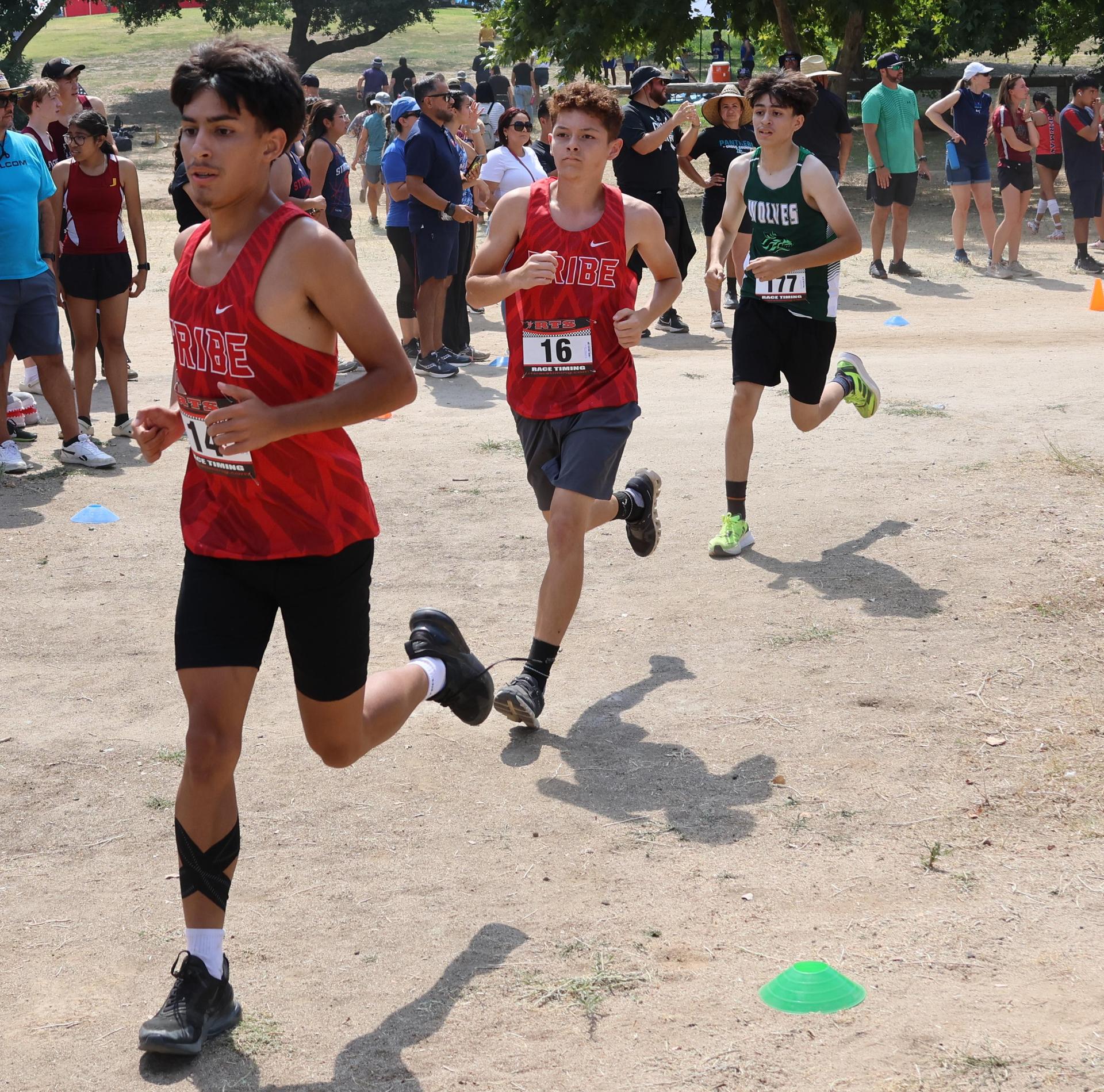 cross country runners in action at woodward park