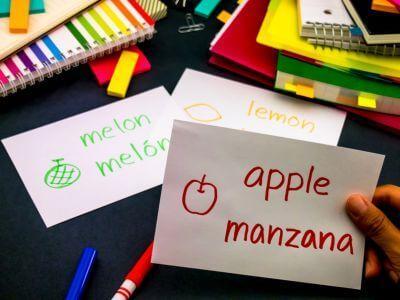Immersion Programs