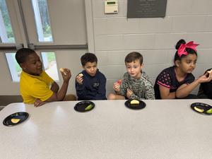 Apple Tasting Graph