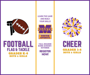 promo graphic - Marion Youth Sports - football and cheer
