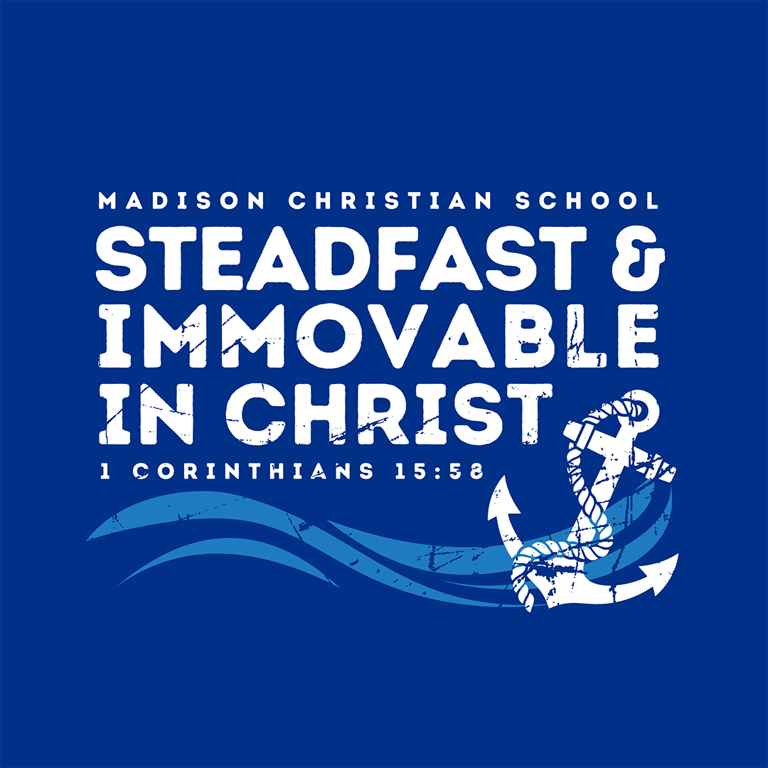 Steadfast Theme
