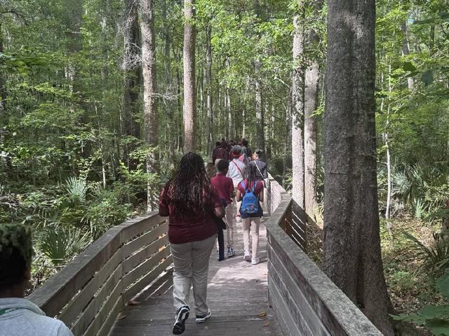 A group of sudentswalking along a wooden path in a forest.