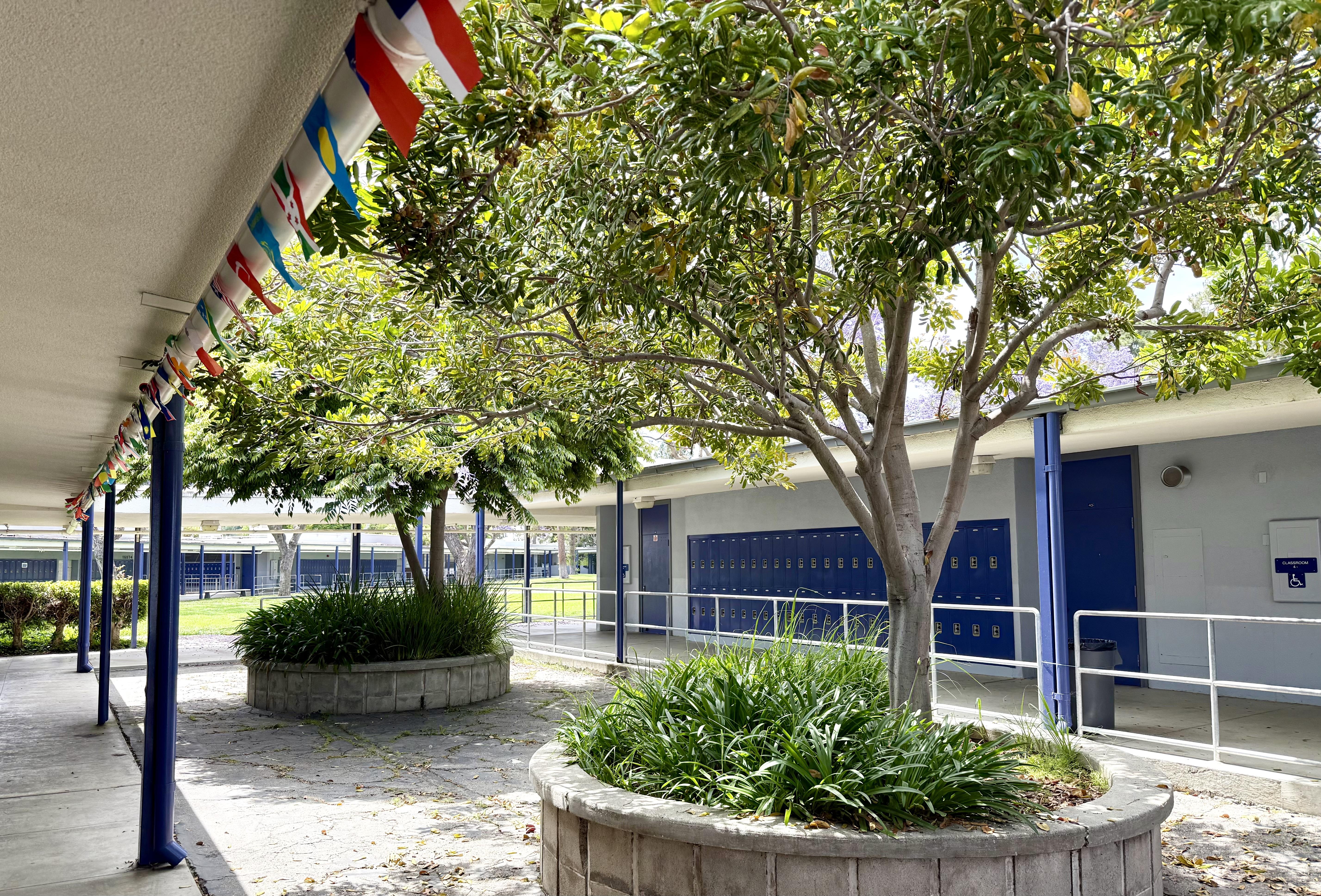 Goethe International Campus 
