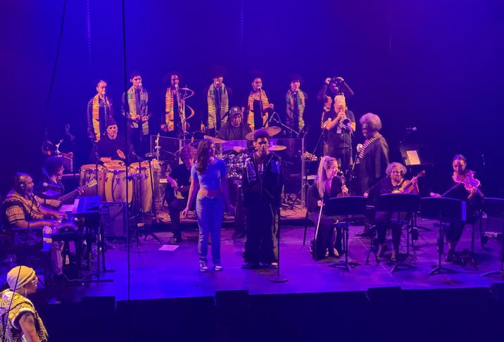 A large musical ensemble performing on stage with various instruments.