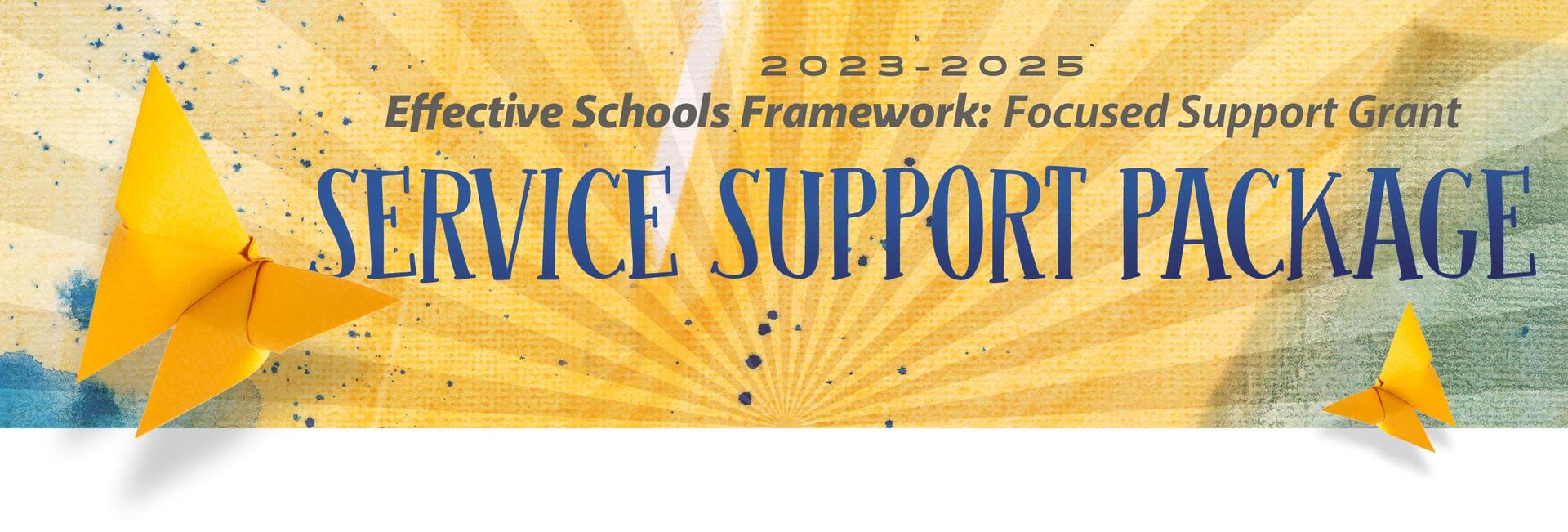 Effective Schools Framework: Focused Support Grant
