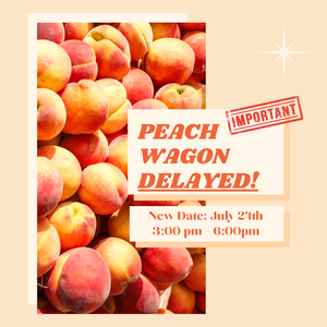 Peach Wagon Delayed!.png