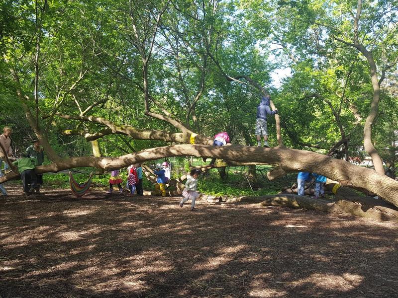 Rudolf Steiner School of Ann Arbor Woods