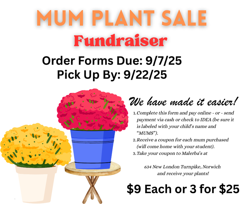 Mums Fundraiser!  Order today!