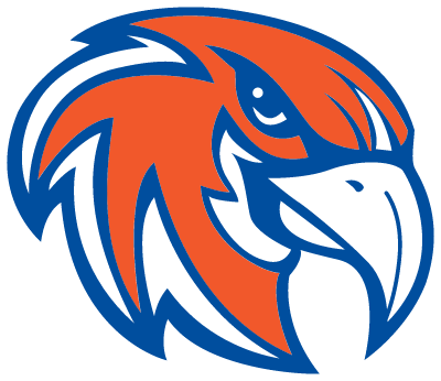 orange and blue hawk