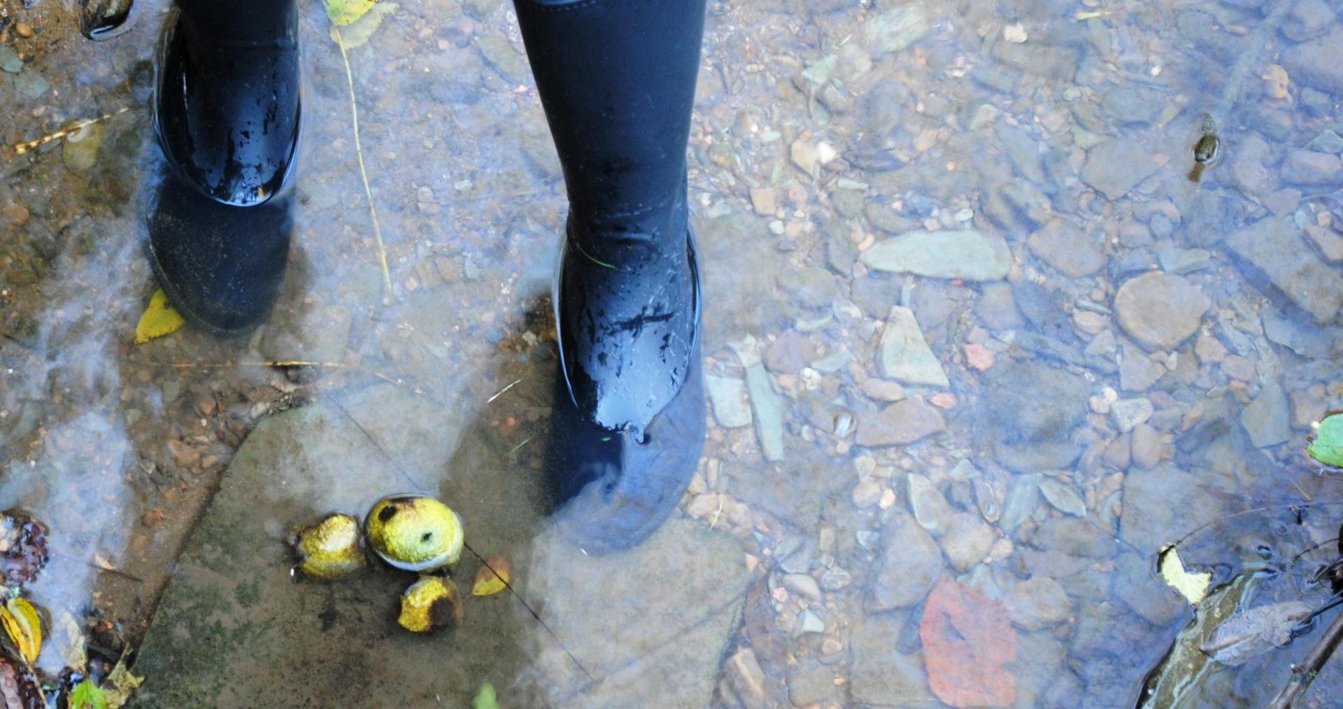 Student standing in a stream. 