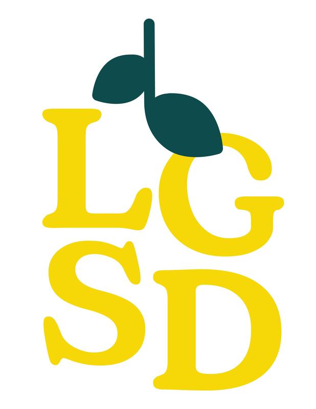 NEW! LGSD Strategic Plan