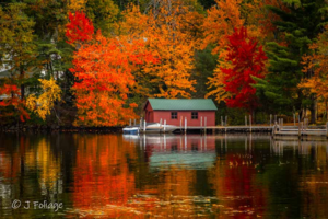Fall. photo of cabin