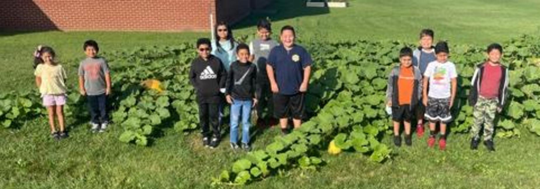 Atkins Elementary School English Learners Pumpkin Patch
