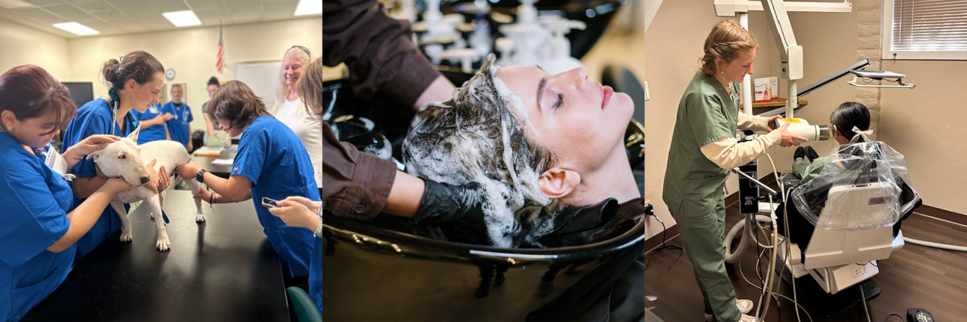 photos showing dental assisting, cosmetology and vet assisting students 