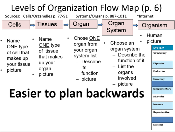 Levels of Organization Flow Map Directions.PNG