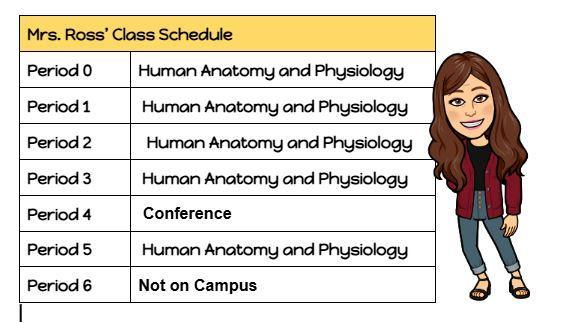 Schedule 